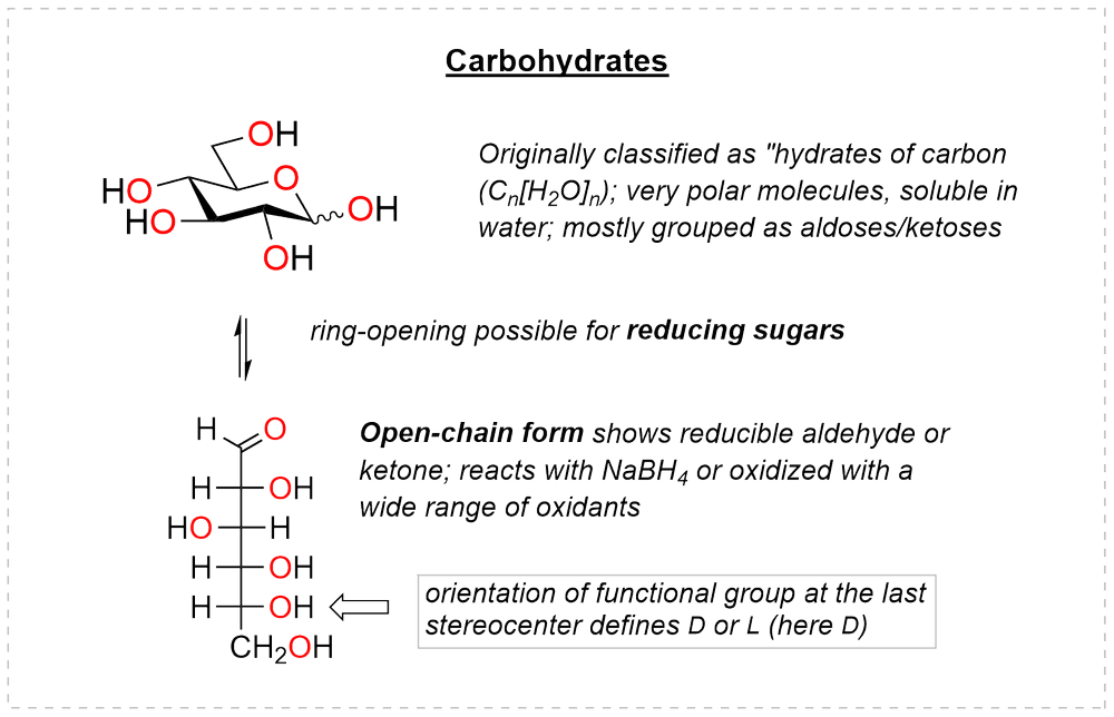 Carbohydrates: a glucopyranose chair in equilibrium with the open-chain aldose form, showing the reducible aldehyde of a reducing sugar and the last stereocentre that defines D or L