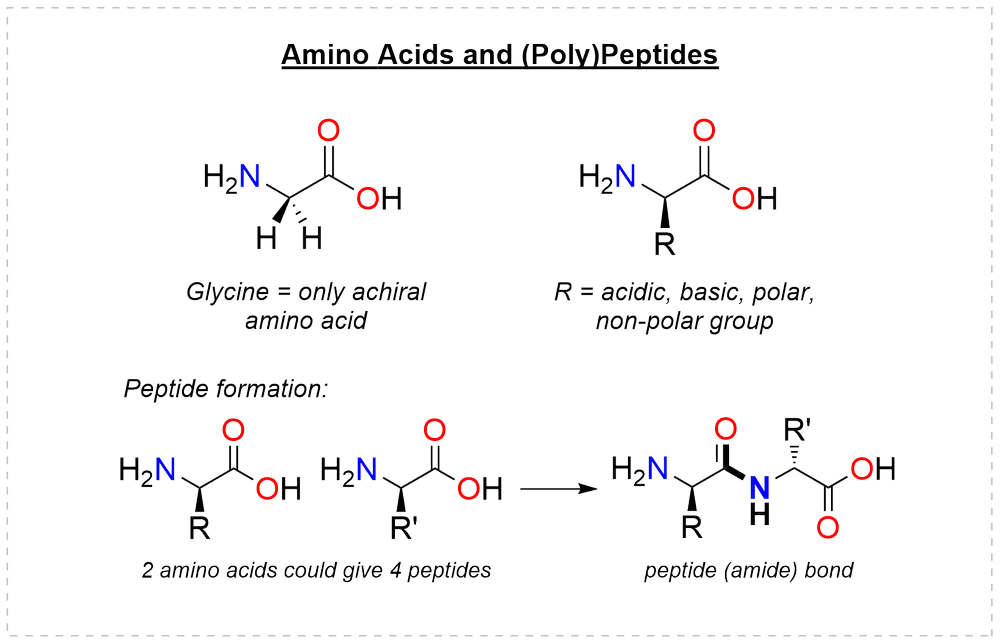 Amino acids and peptides: glycine as the only achiral amino acid, the general R-substituted amino acid, and condensation of two amino acids to a dipeptide bearing a peptide (amide) bond