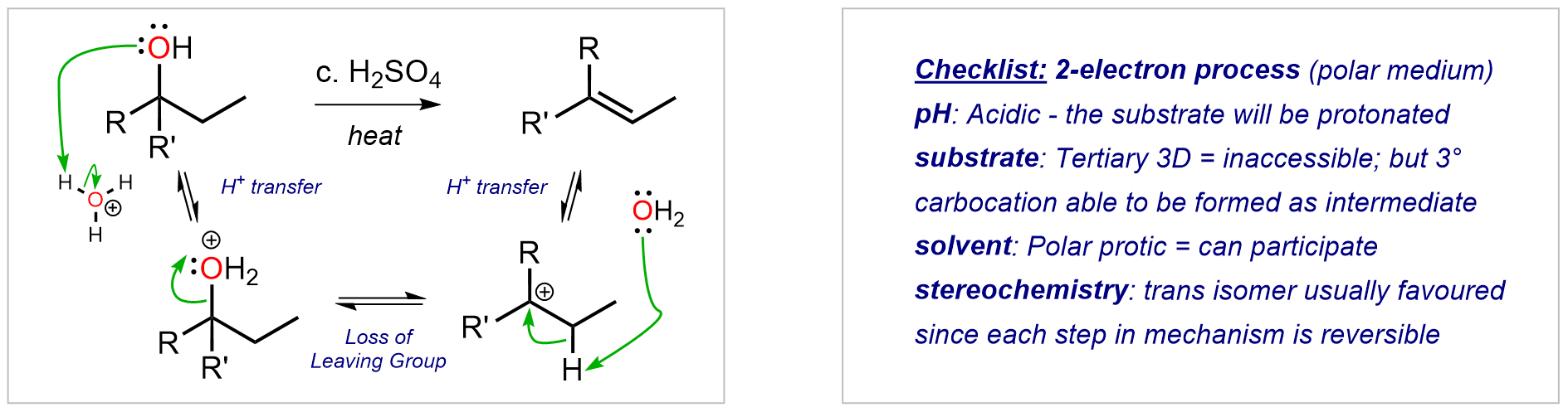 E1 mechanism